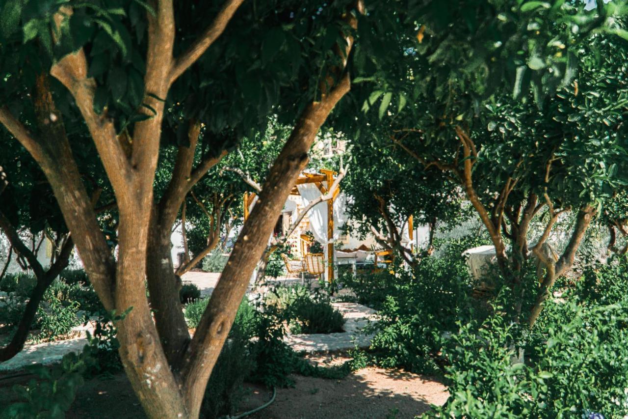 Rafalias Mansion هيدرا المظهر الخارجي الصورة